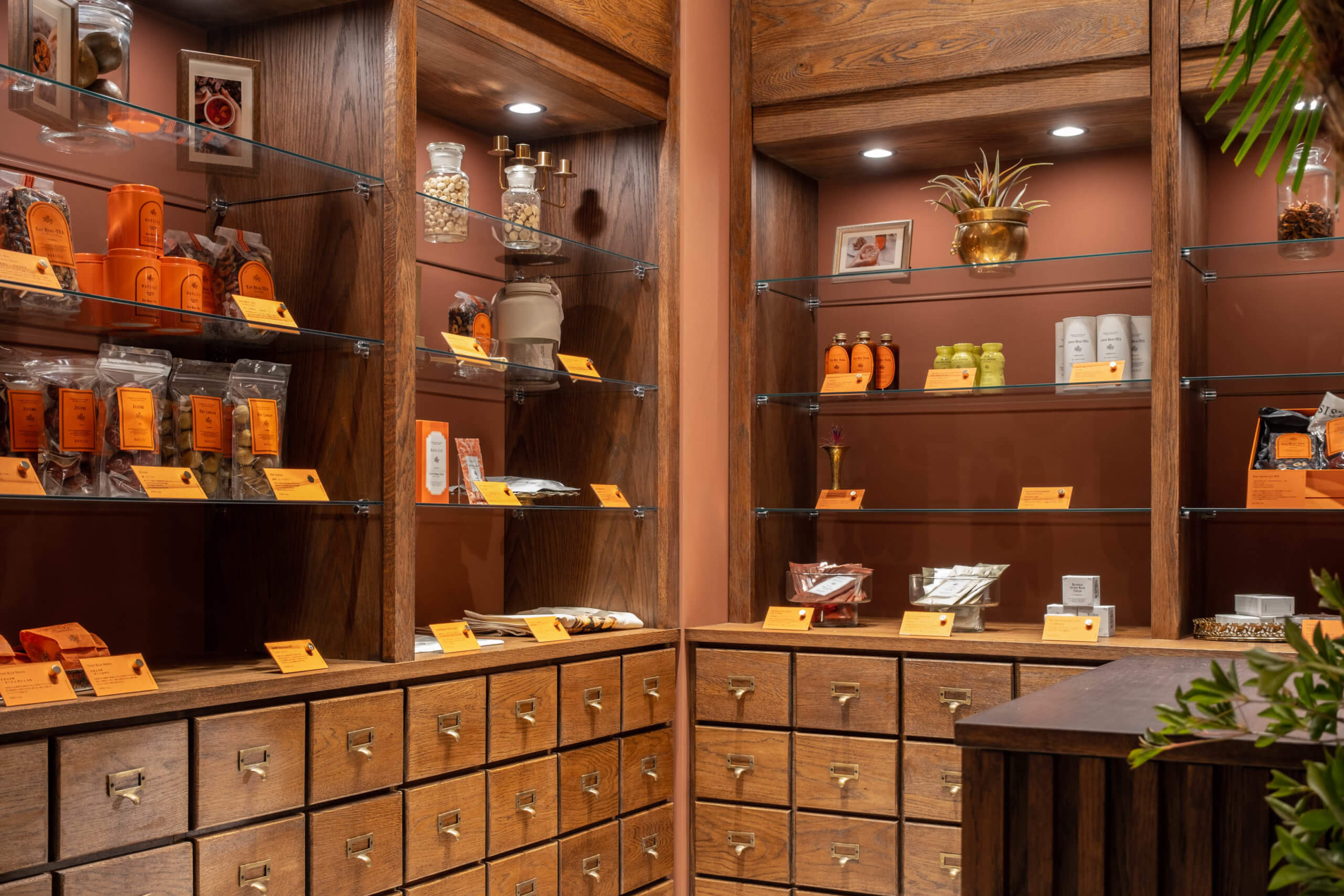 新店舗】DAYLILY 日本3号店を有楽町マルイ1F に 6月11日 (木