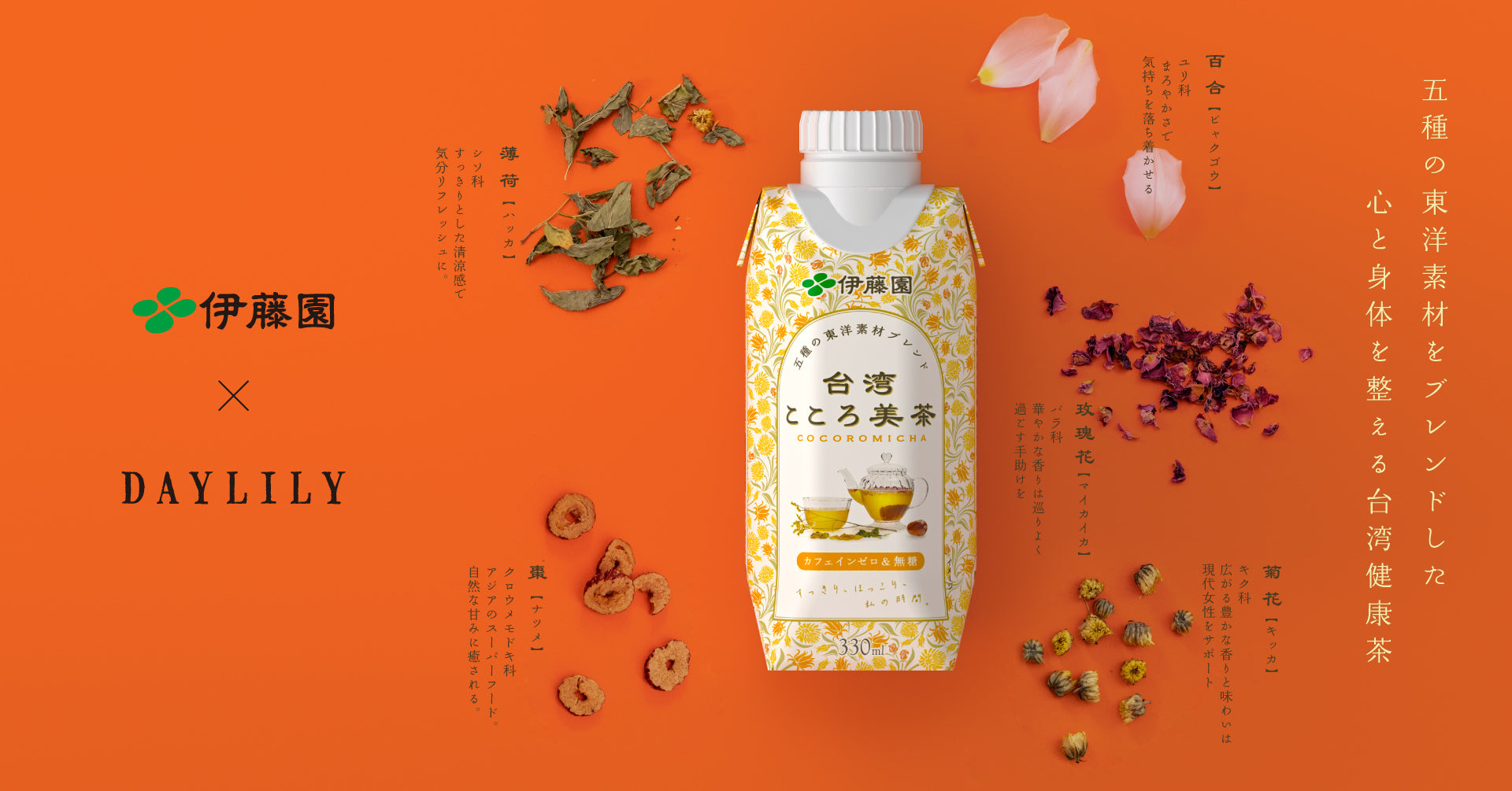 伊藤園 × DAYLILY】共同開発の和漢茶飲料「台湾こころ美茶」を販売開始