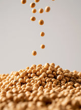 【エシカル定期便】SOY PROTEIN TAIWAN 杏仁豆花