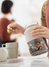 Package Free Starter Set パッケージフリーセット