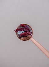 【DAYLILY限定】Measure Spoon with Clip クリップ付きメジャースプーン