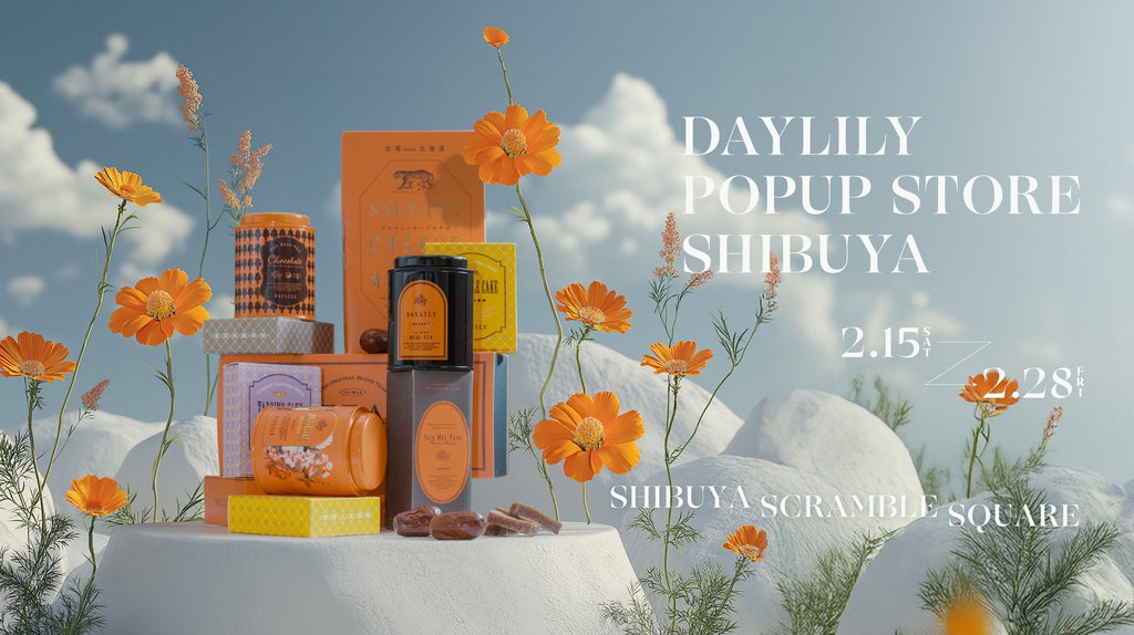 DL_pu_SQSQ_visual_02_250208-