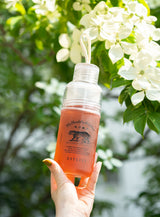 予約商品【夏季限定】SUMMER BEAU-TEA 洛神桃果冷萃茶（7月下旬出荷予定）